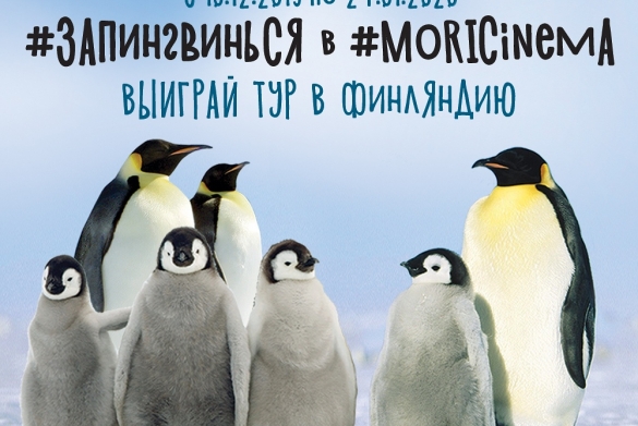 Отправляйся в Финляндию с "Мори Синема"
